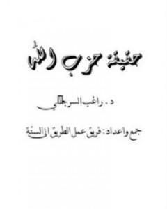 الفتنة الطائفية في مصر.. الجذور.. الواقع.. المستقبل