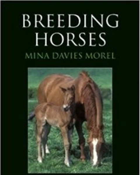 BREEDING HORSES