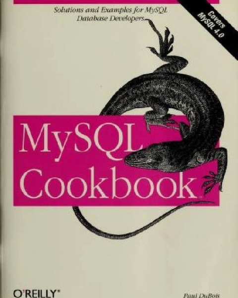 MySQL Cookbook First Edition