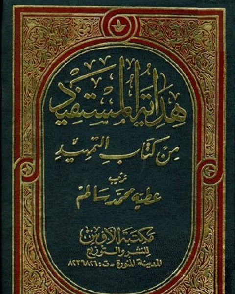 هداية المستفيد من كتاب التمهيد مجلد 10