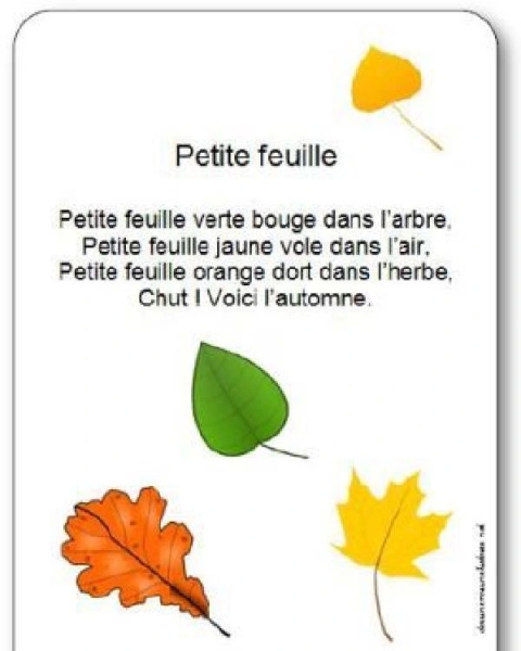 Comptine Petite feuille